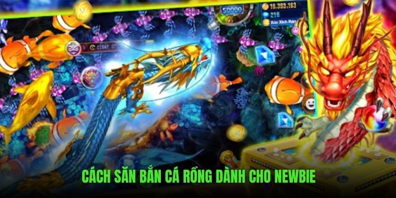 Hướng dẫn cách săn cá rồng cho newbie