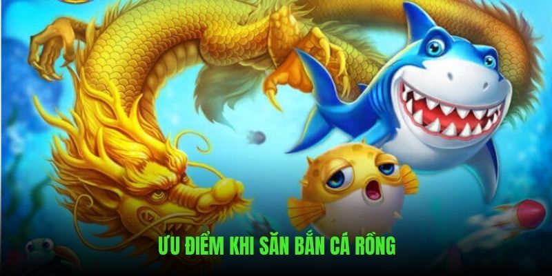 Những ưu điểm khi thực hiện săn bắn